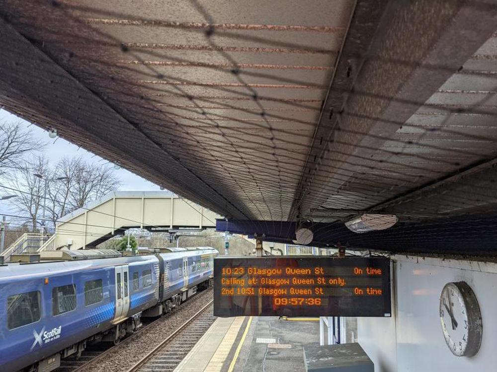 Transport Hub New Bird Netting