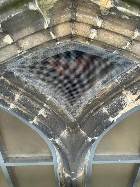 Pest-Master discreet proofing 