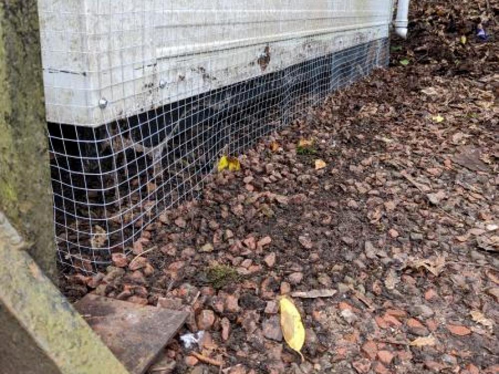 Rodent Proofing And Eradications 